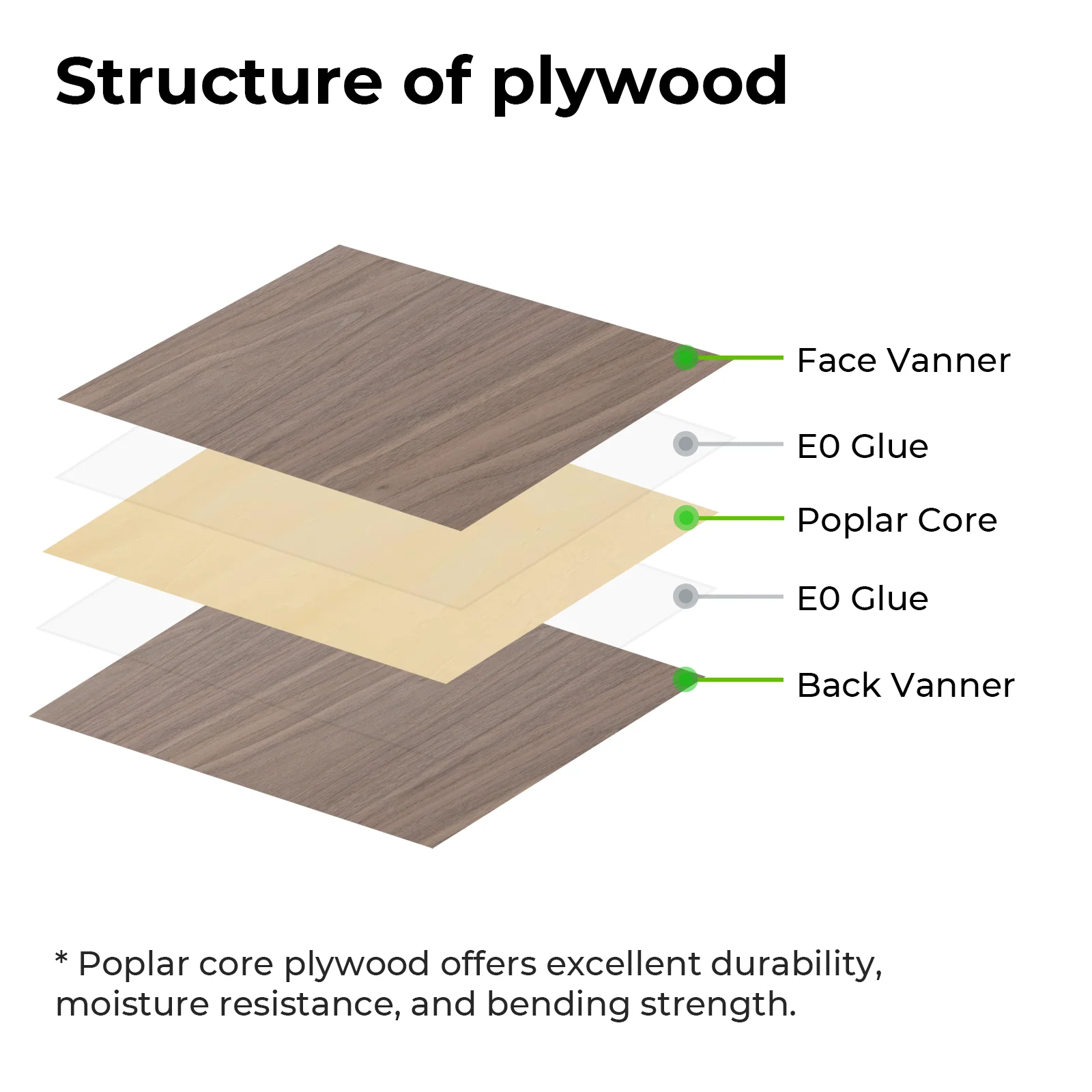 1/8" Walnut Plywood Sheets (30pcs) - Image 6